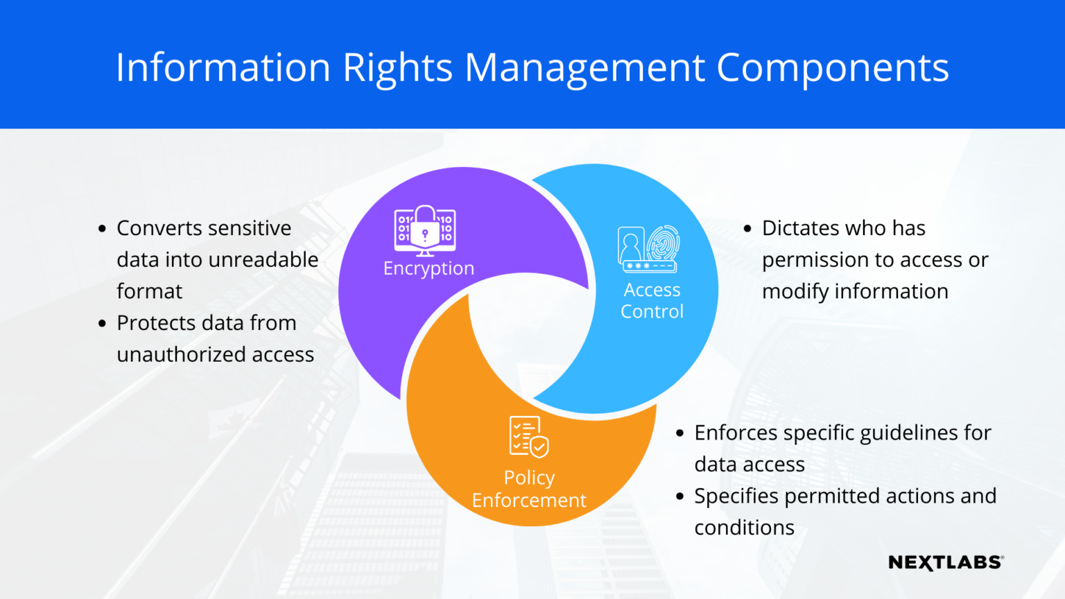 What Is Information Rights Management Irm Nextlabs