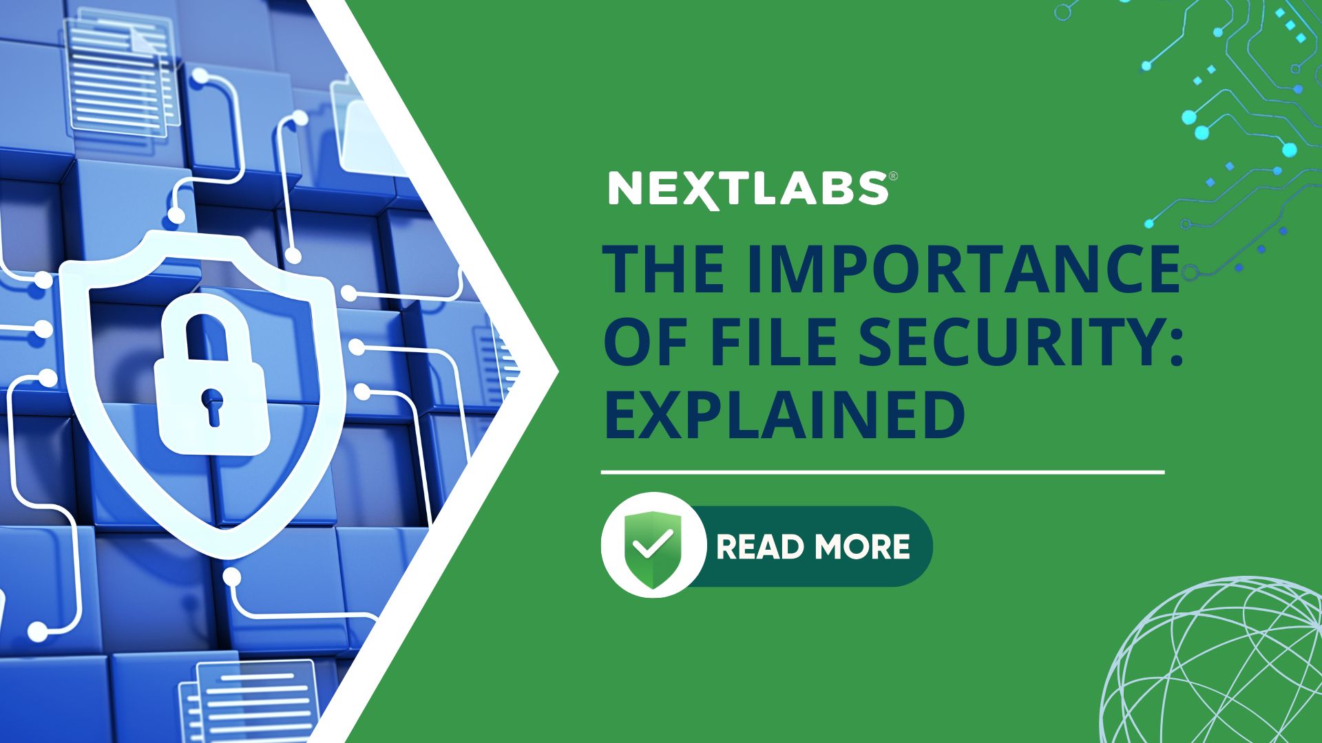 The Importance of File Security Explained