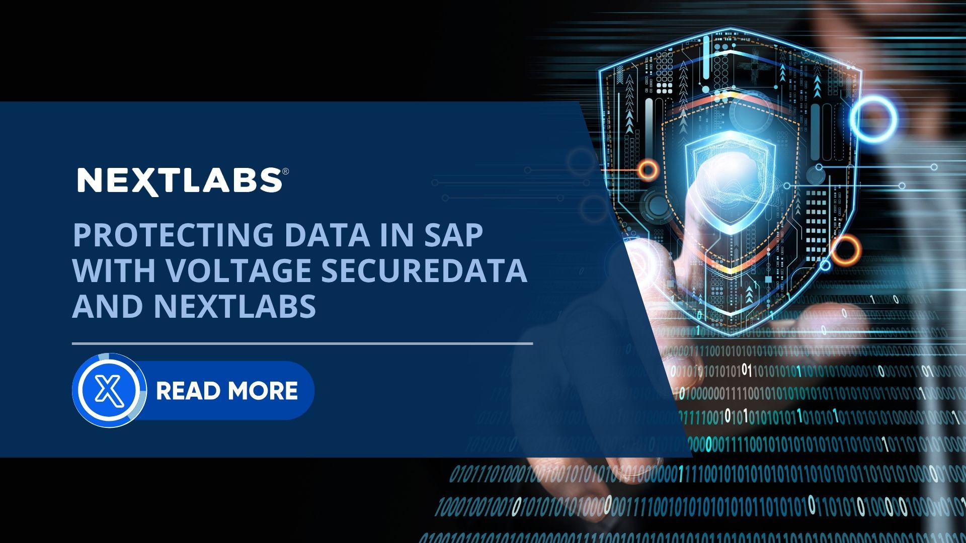 Article - Protecting Data in SAP with Voltage SecureData and NextLabs
