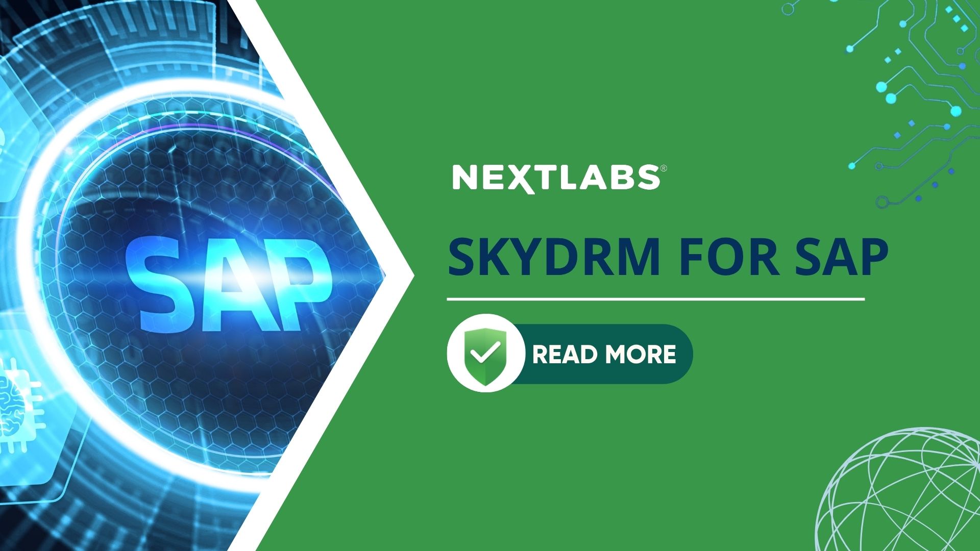 Article - DS - SkyDRM For SAP
