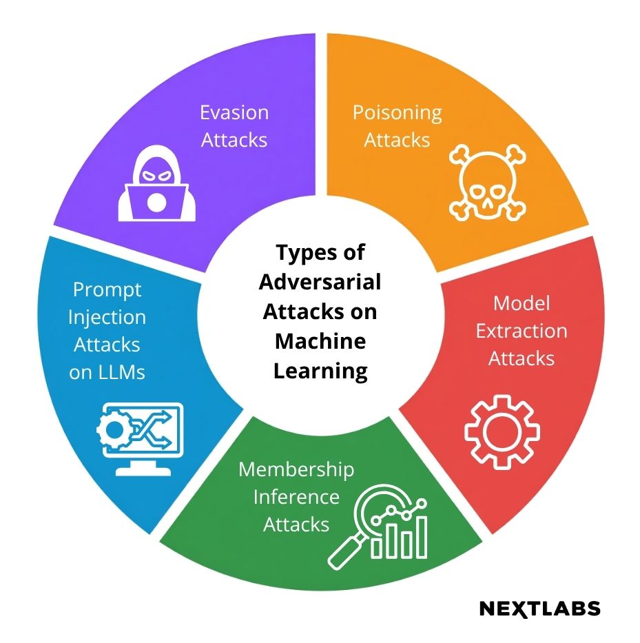 Types of Adversarial Attacks on ML