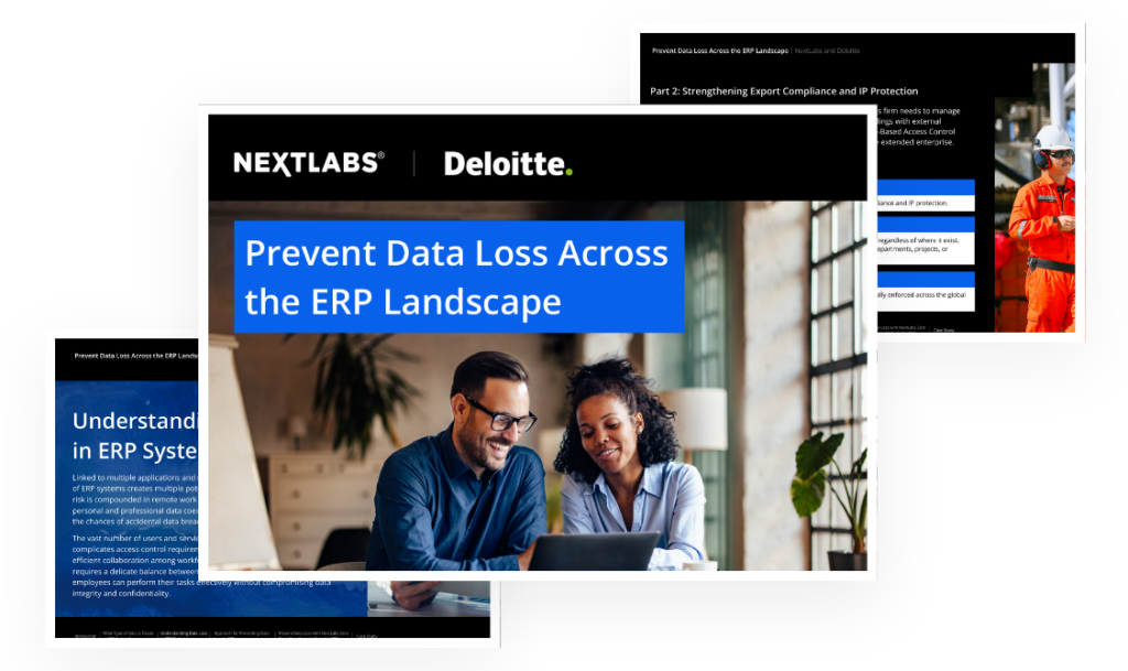 icon - whitepaper prevent data loss across erp landscape